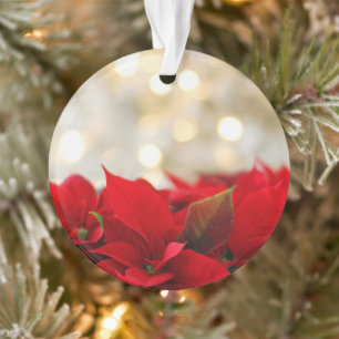 Weihnachtspost Ornament
