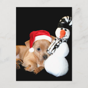 Weihnachtspostkarte Feiertagspostkarte