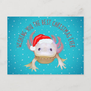 Weihnachtspostkarte Feiertagspostkarte