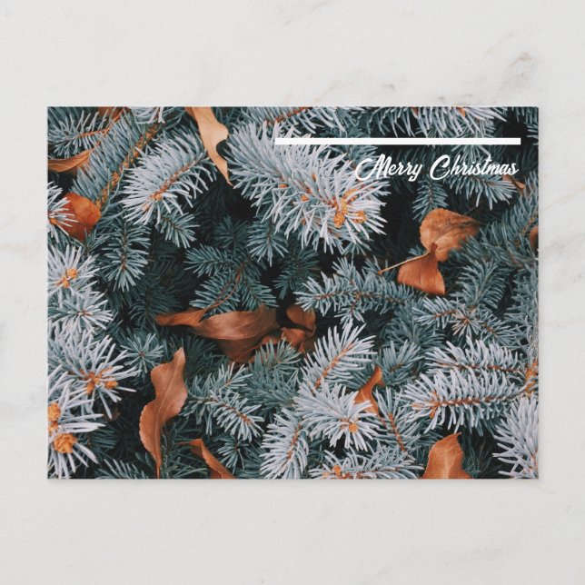 Weihnachtspostkarte Postkarte (Vorderseite)