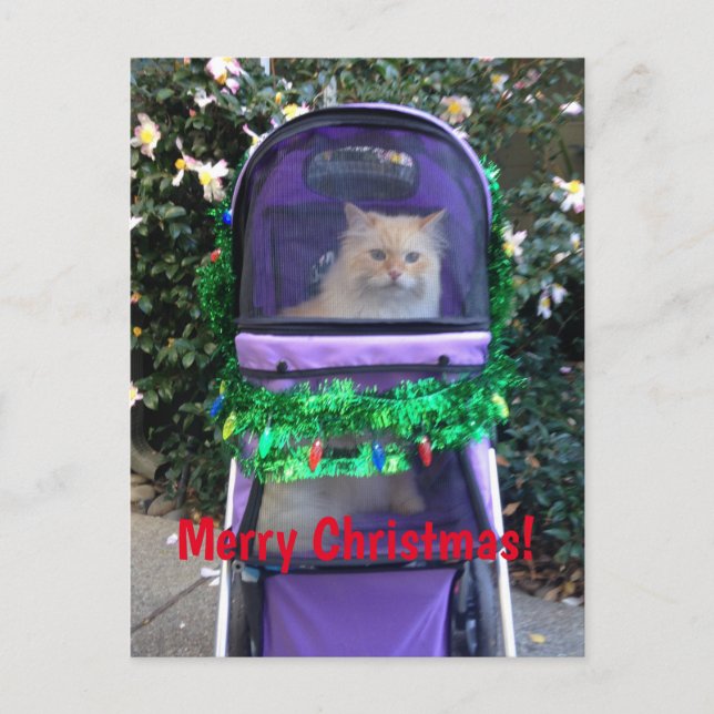 Weihnachtspostkarte Postkarte (Vorderseite)