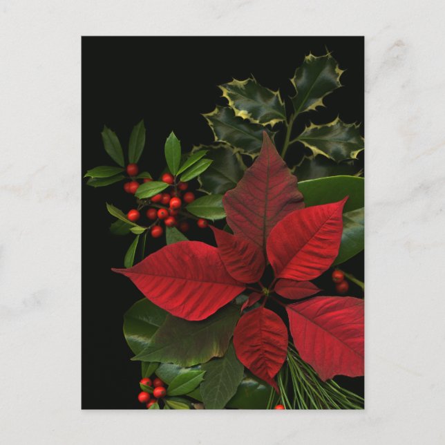 Weihnachtspostkarte Postkarte (Vorderseite)