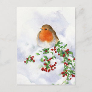 Weihnachtspostkarte - Rotkehlchen Postkarte