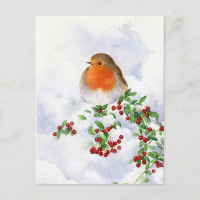 Weihnachtspostkarte - Rotkehlchen Postkarte (Vorderseite)