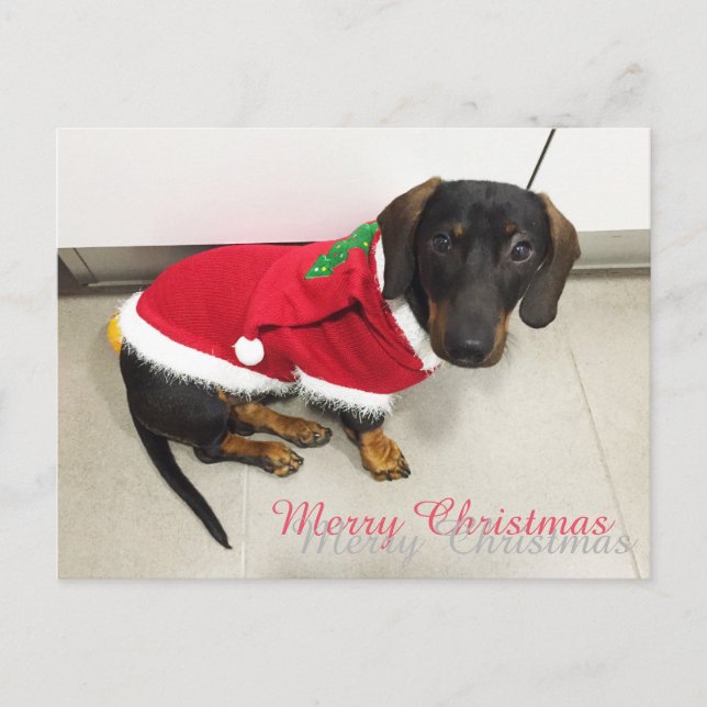 Weihnachtspostkarten Feiertagspostkarte (Vorderseite)