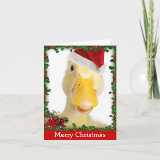 WeihnachtsQuaken Feiertagskarte