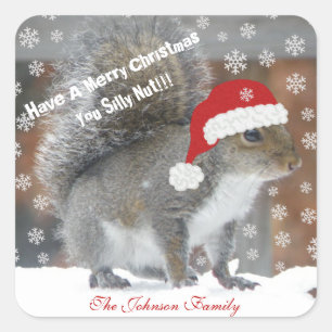 Weihnachtsquirrel Funny Stickers