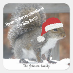 Weihnachtsquirrel Funny Stickers