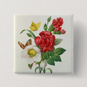 WeihnachtsRose, Helleborus Niger Button