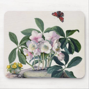 WeihnachtsRose (Helleborus Niger) und Winter Aconi Mousepad