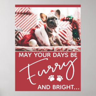 Weihnachtsrot mit Foto und weißen Pfoten Poster