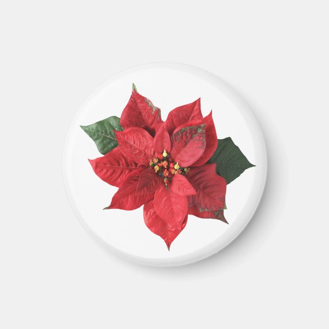 Weihnachtsrote Poinsettie  Magnet (Vorne)