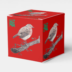 Weihnachtsrotkehlchen- und geschenkschachtel