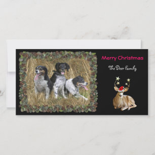 Weihnachtsrotwild-Foto-Karte Feiertagskarte