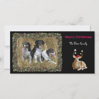 Weihnachtsrotwild-Foto-Karte Feiertagskarte