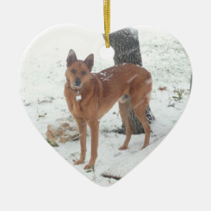 Weihnachtssammlungs-Haustier oder Familien-Foto Keramikornament