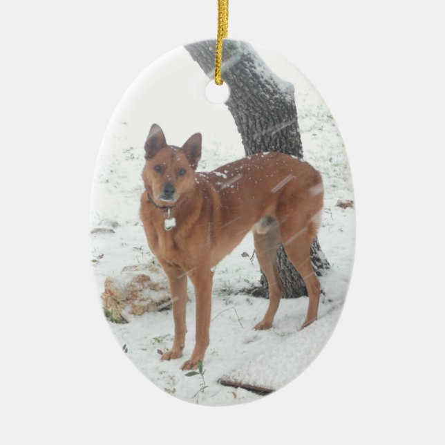 Weihnachtssammlungs-Haustier oder Familien-Foto Keramikornament (Vorne)