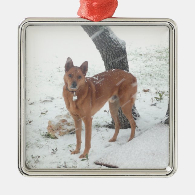 Weihnachtssammlungs-Haustier oder Familien-Foto Ornament Aus Metall (Vorne)