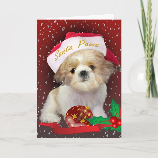 Weihnachtssankt-Tatzen-Karte Shih Tzu Feiertagskarte (Vorderseite)