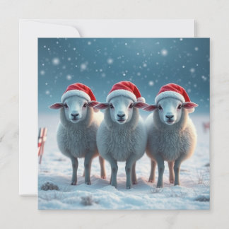 Weihnachtsschafe Feiertagskarte