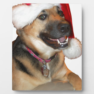 Weihnachtsschäfer Fotoplatte