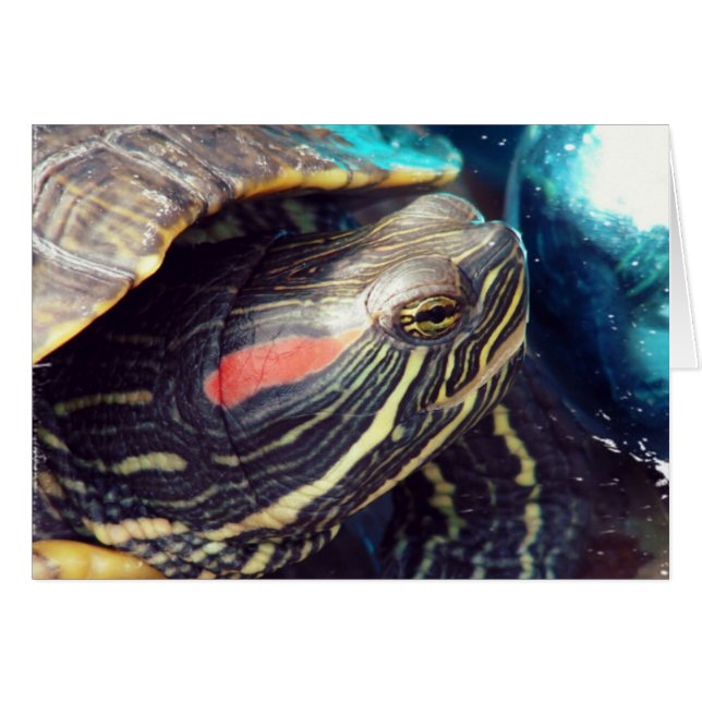 Weihnachtsschild (Vorderseite (Horizontal))