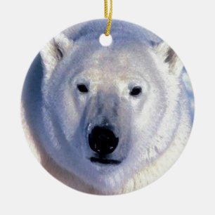 Weihnachtsschmuck für Polar Bären