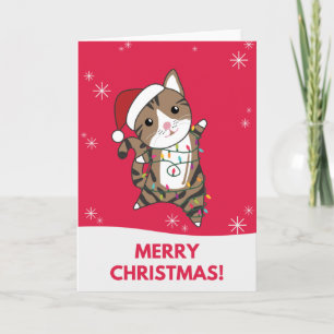 Weihnachtsschnee Wintertiere Katzen Karte