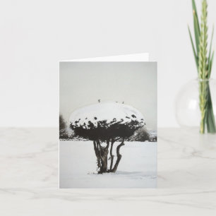 Weihnachtsschneelandschaft Kunstrasenkarte Feiertagskarte