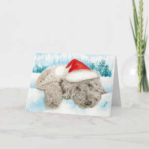 Weihnachtsschokolade Labradoodle Feiertagskarte