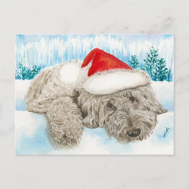 Weihnachtsschokolade Labradoodle Feiertagspostkarte (Vorderseite)