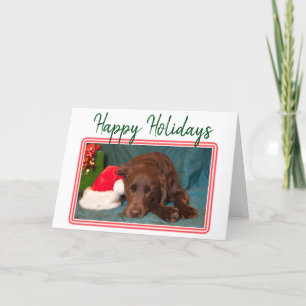 Weihnachtsschokolade Labrador und Weihnachtshut Feiertagskarte