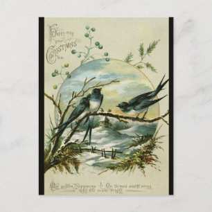 Weihnachtsschwalben Vögel Vintage Postkarte