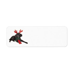 Weihnachtsschwarzer Zwergpudel-Hund gekleidet als