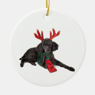 Weihnachtsschwarzer Zwergpudel-Hund gekleidet als Keramikornament