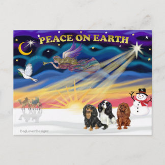 Weihnachtssonne - Cavalier King Charles (drei) Postkarte