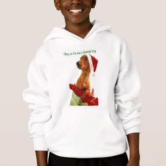 WeihnachtsSpaß Hoodie