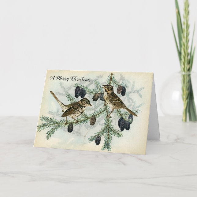 Weihnachtsspatzen am feiertagskarte (Vorderseite)