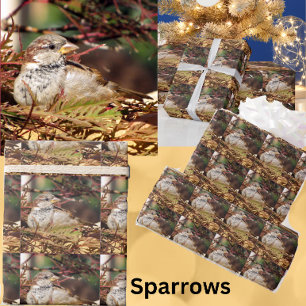 Weihnachtsspinnpapier Geschenkpapier