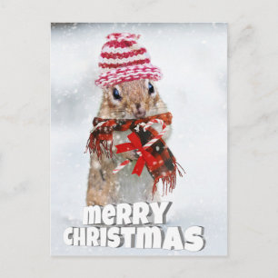 Weihnachtssplitter Postkarte