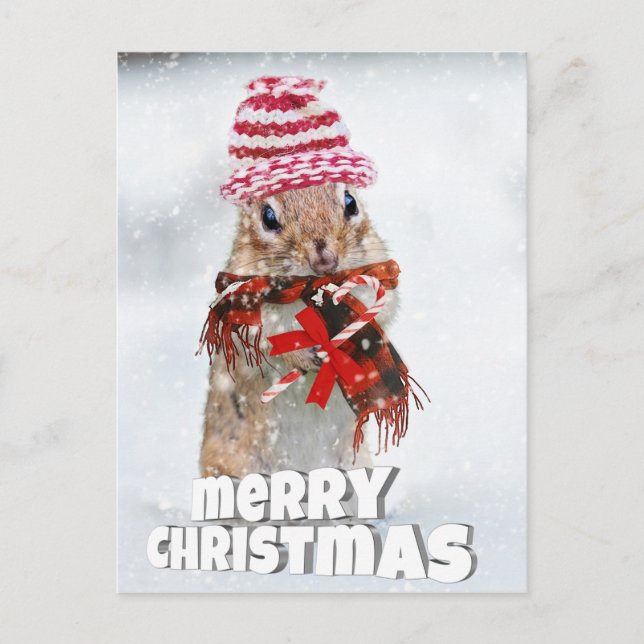 Weihnachtssplitter Postkarte (Vorderseite)