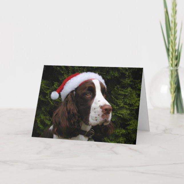 WeihnachtsSpringerspaniel-Weihnachtskarte Feiertagskarte (Vorderseite)