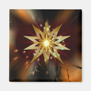 Weihnachtsstar Magnet