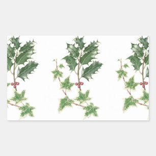 Weihnachtsstechpalmeu. -efeusprigs-botanische rechteckiger aufkleber