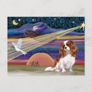 Weihnachtsstern - Cavalier (Blenheim) Feiertagspostkarte