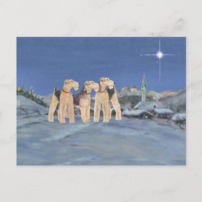 Weihnachtsstern Feiertagspostkarte (Vorderseite)