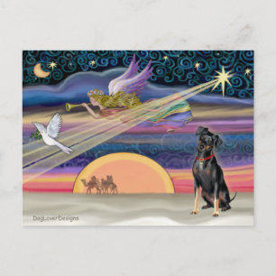 Weihnachtsstern - Miniatur Pinscher 1 Feiertagspostkarte