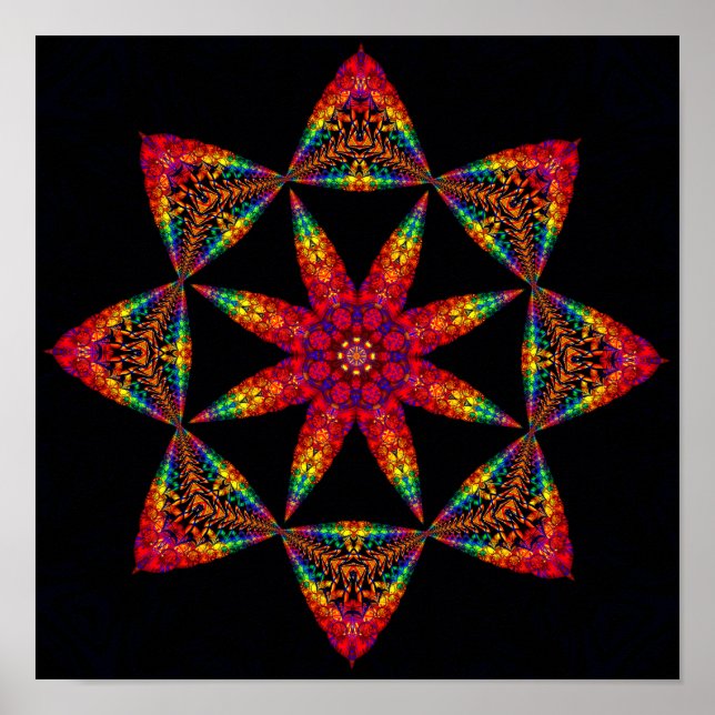 Weihnachtsstern Poster (Vorne)