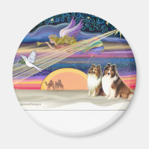 Weihnachtsstern - Shetland-Schäferhunde (2 Sable) Magnet