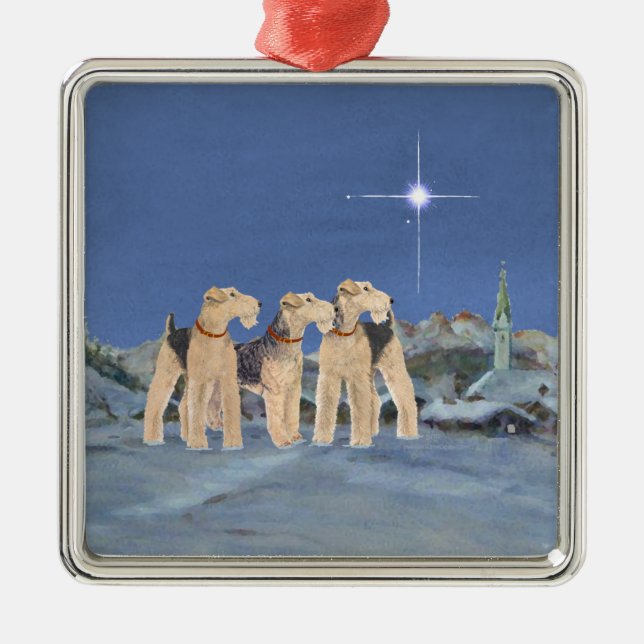 Weihnachtsstern Silbernes Ornament (Vorne)